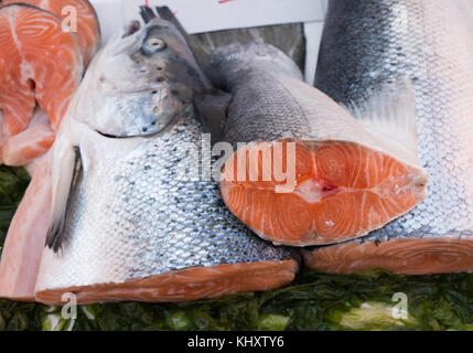 Lachs an seamarket in Neapel, Italien Stockfoto