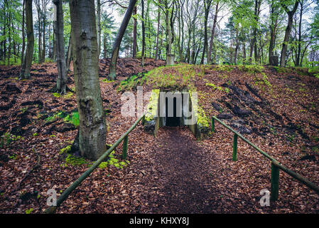 Ehemaliger Bunker im Wald auf der Insel Wolin, Woiwodschaft Westpommern in Polen Stockfoto