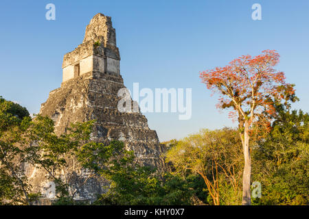 Temple I (Gran Jaguar) - Tikal - Guatemala Stockfoto