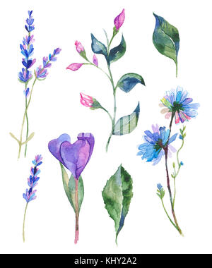 Aquarell gemalt Sammlung von Blumen. Hand gezeichnet Blume Designelemente auf weißem Hintergrund. Stockfoto