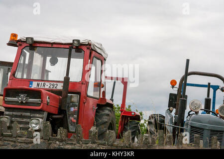 Vinatage Alte MF Massey Ferguson Traktor Traktor zeigen, Kerry, Irland, alten Traktor Landmaschinen Bodenbearbeitung pflügen, Bauernhof, ländliche Konzept Stockfoto