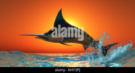Blauer Marlin - Ein blauer Marlin springt aus dem blauen Ozean in einem spektakulären Sprung bei Sonnenuntergang. Stockfoto