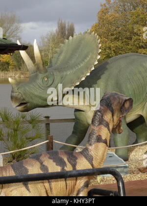 Eine velociraptor Stalking ein triceratops Dinosaurier Park Stockfoto