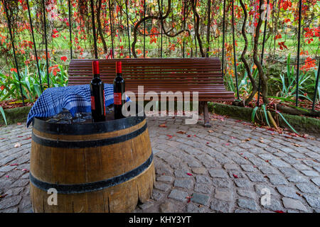 Die einzige Weinkellerei in der Stadt Paris Stockfoto