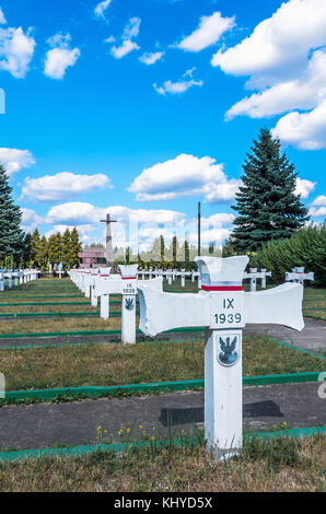 War Cemetery der polnischen Armee Soldaten in der Nähe von Warschau - wieliszew, Polen. Stockfoto