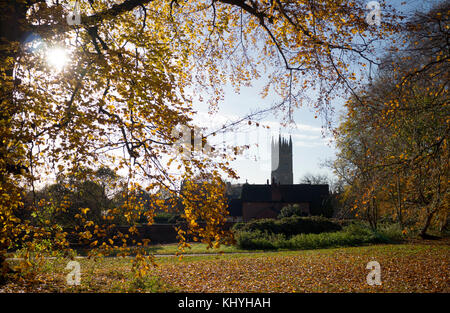 Priory Park im Herbst, Warwick, Warwickshire, England, UK Stockfoto