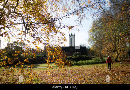 Priory Park im Herbst, Warwick, Warwickshire, England, UK Stockfoto