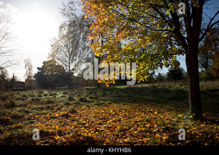 Priory Park im Herbst, Warwick, Warwickshire, England, UK Stockfoto