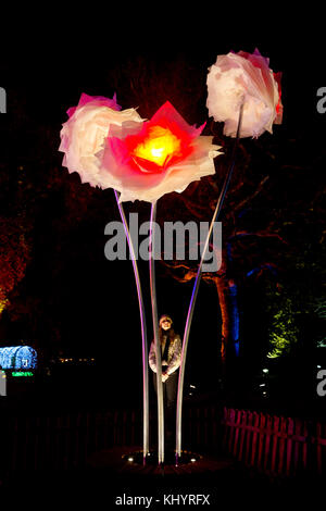 London, Großbritannien. 21 Nov, 2017. eine magische beleuchteten Weg durch die Kew herrliche Landschaft nach Einbruch der Dunkelheit, um über eine Million Lichter leuchtet. Credit: Sebastian remme/alamy leben Nachrichten Stockfoto