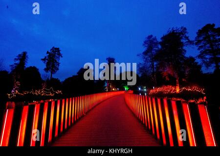 London, Großbritannien. 21 Nov, 2017. eine magische beleuchteten Weg durch die Kew herrliche Landschaft nach Einbruch der Dunkelheit, um über eine Million Lichter leuchtet. Credit: Sebastian remme/alamy leben Nachrichten Stockfoto