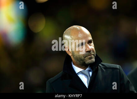 Dortmund, Deutschland. November 2017. Dortmunds Trainer Peter Bosz gibt ein Interview vor dem Champions-League-Spiel zwischen Borussia Dortmund und Tottenham Hotspur im Signal Iduna Park in Dortmund am 21. November 2017. Quelle: INA Fassbender/dpa/Alamy Live News Stockfoto