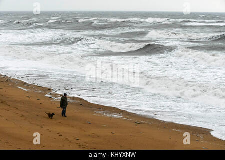 West Bay, Dorset, Großbritannien. 22. November 2017. UK Wetter. Ein Hund Walker entlang einer fast menschenleeren Strand von West Bay bummeln in Dorset wie große Wellen an Land aufgrund der starken böigen Winde an einem bewölkten Tag mit überdurchschnittlichen Temperaturen. Photo Credit: Graham Jagd-/Alamy leben Nachrichten Stockfoto