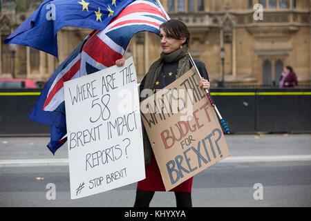 London, Großbritannien. 22. November 2017. brexit Demonstranten vor Palast von Westminster während Philip Hammond Finanzminister sein Budget liefert an die House of Commons, London, UK Credit: Jeff Gilbert/alamy leben Nachrichten Stockfoto