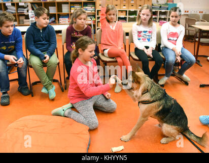 Schüler der Klasse 4c Übungsregeln mit Schulhund Rudi an der Grundschule Heide in Bad Dueben, 24. Oktober 2017. Der zweijährige Mischhund, der als Schulhund ausgebildet wurde, wird von den Kindern als „Assistenzpädagogin“ akzeptiert und gehört ihrer Klassenlehrerin Kristin Gessner. Bis zu dreimal pro Woche nimmt Rudi am Unterricht Teil und trägt zu einer besseren Atmosphäre bei. Im Zuge der tiergestützten Pädagogik sind mehrere hundert Schulhunde in deutschen Schulen zu finden. Foto: Waltraud Grubitzsch/dpa-Zentralbild/ZB Stockfoto