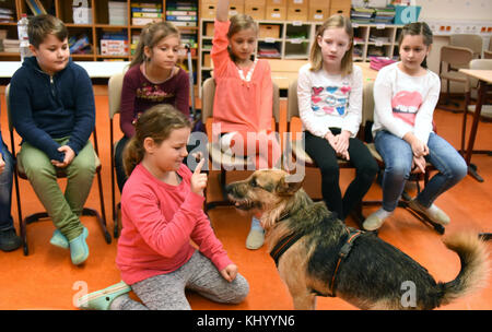Schüler der Klasse 4c Übungsregeln mit Schulhund Rudi an der Grundschule Heide in Bad Dueben, 24. Oktober 2017. Der zweijährige Mischhund, der als Schulhund ausgebildet wurde, wird von den Kindern als „Assistenzpädagogin“ akzeptiert und gehört ihrer Klassenlehrerin Kristin Gessner. Bis zu dreimal pro Woche nimmt Rudi am Unterricht Teil und trägt zu einer besseren Atmosphäre bei. Im Zuge der tiergestützten Pädagogik sind mehrere hundert Schulhunde in deutschen Schulen zu finden. Foto: Waltraud Grubitzsch/dpa-Zentralbild/ZB Stockfoto