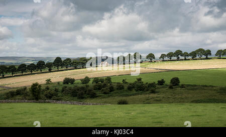 Scheune und Bäume in der nähe von Hartington im Peak District. Ein schöner Sommertag in der englischen Landschaft. Stockfoto