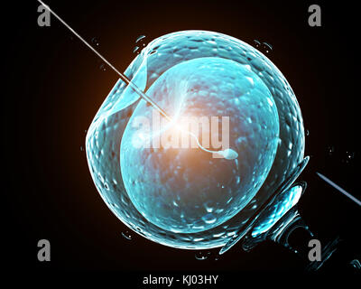 Cell Injektion - künstliche Befruchtung. Nadel anstechen der Zellmembran. Spermatozoon in Ei. Auf schwarzem Hintergrund isoliert. 3D-Rendering Stockfoto