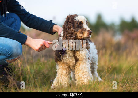 Bild der Frau, die neben ihrem Cocker Spaniel kniet Stockfoto