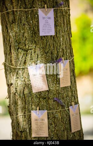 Hochzeit Tabelle Gästelisten zu Baumstamm mit Lavendel Stammzellen gebunden Stockfoto