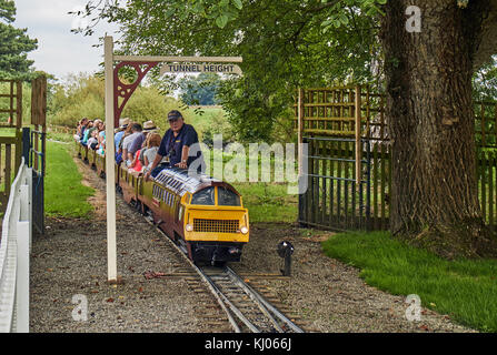England, NorthYorkshire, Ripon, Newby Hall & Gardens, Miniature Railway Stockfoto