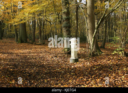 Ein Herbst Landschaft in broxbourne Wald mit Kohle Steuer post, die tief im Wald liegt. Stockfoto
