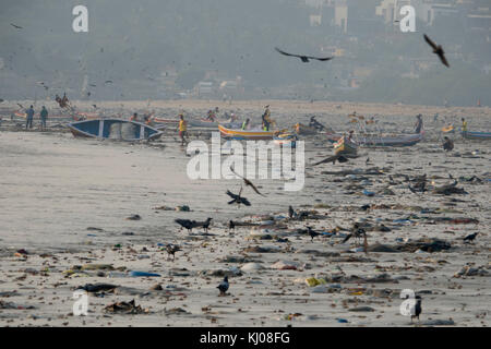 Krähen spülpumpe an Abwasser bei Ebbe am Strand, versova Mumbai Stockfoto