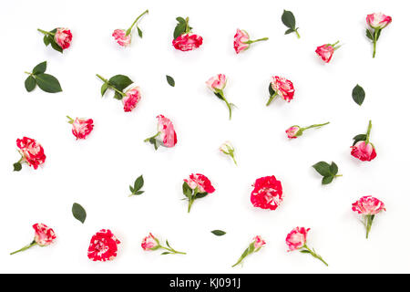 Florales Muster aus rosa roten Rosen und grünen Blättern auf weißem Hintergrund. Stockfoto