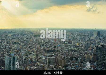 Blick über Tokyo, Japan von der 45th (202 m), der Metropolitan Regierungsgebäude. Was ist eine lebendige Stadt! Stockfoto