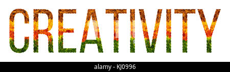 Kreativität Wort ist mit Blättern weiß isoliert Hintergrund geschrieben, Banner für Drucken, kreative Darstellung von farbigen Blättern. Stockfoto