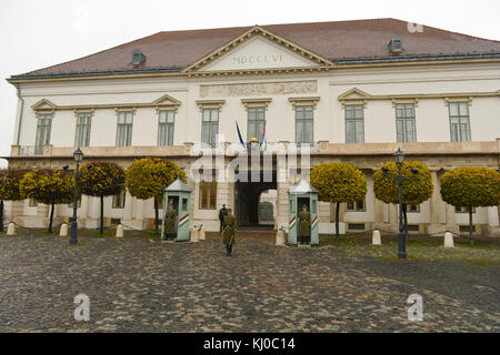 Budapest, Ungarn - 28 November 2014. Zeremonie der Wechsel der Wachen in der Nähe des Präsidentenpalast in Budapest, Ungarn. Stockfoto