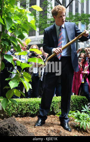 NEW YORK - MAI 29: BritainÕs Prinz Harry nach dem Besuch des WTC ging es weiter zum British Garden auf dem ManhattanÕs Hanover Square, wo mehr als 1,000 Menschen jubelten, als der Prinz ankam. Frauen, die kunstvolle Hüte trugen, lehnten sich von den Fenstern im ersten Stock des India House gegenüber dem Platz ab, der 1730 gegründet wurde. Harry nannte den Garten offiziell, bevor er ein privates Treffen mit amerikanischen Familien und den 67 Briten hielt, die am 11. September getötet wurden. Camilla Hellman, Präsidentin des British Memorial Garden Trust, ist eine alte Hand bei königlichen Besuchen Ñ die Prinzessin Royal, der Prinz von Wa Stockfoto