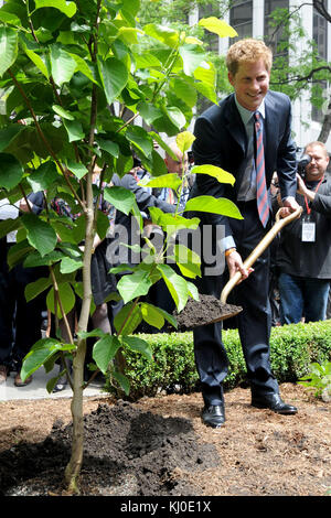 NEW YORK - MAI 29: BritainÕs Prinz Harry nach dem Besuch des WTC ging es weiter zum British Garden auf dem ManhattanÕs Hanover Square, wo mehr als 1,000 Menschen jubelten, als der Prinz ankam. Frauen, die kunstvolle Hüte trugen, lehnten sich von den Fenstern im ersten Stock des India House gegenüber dem Platz ab, der 1730 gegründet wurde. Harry nannte den Garten offiziell, bevor er ein privates Treffen mit amerikanischen Familien und den 67 Briten hielt, die am 11. September getötet wurden. Camilla Hellman, Präsidentin des British Memorial Garden Trust, ist eine alte Hand bei königlichen Besuchen Ñ die Prinzessin Royal, der Prinz von Wa Stockfoto