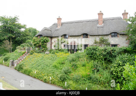 Die Fotografien auf der Isle of Wight, meist Farm und Cottages. Stockfoto