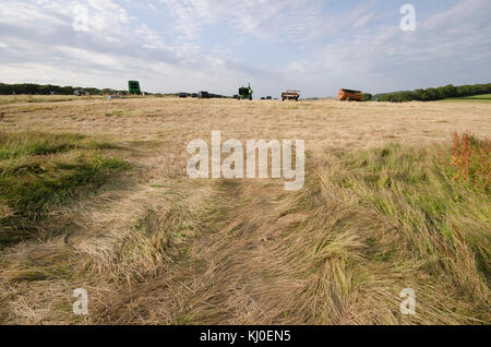 Die Fotografien auf der Isle of Wight, meist Farm und Cottages. Stockfoto