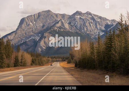 Roche miette Berg in Jasper National Park, Alberta, Kanada Stockfoto