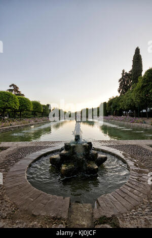 Großer Teich aus den Gärten von Alcazar de los reyes Católicos in Córdoba (Andalusien, Spanien). Stockfoto