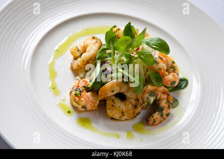 Riesengarnelen in Knoblauch und Kräutern mit grünen Kresse auf weiße Platte Stockfoto