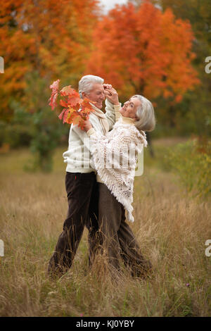 Senior Paar tanzen im Park Stockfoto