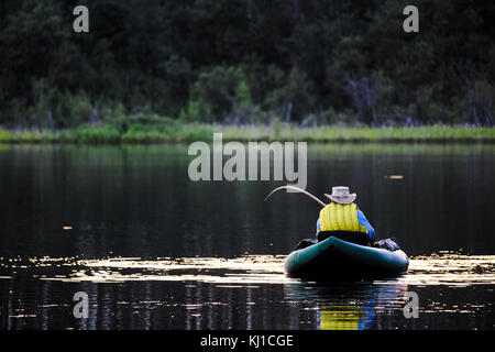 Ein unbekannter Mann auf einem float Tube holen in eine Forelle. Stockfoto