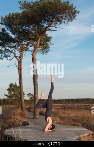 Frau Yoga tut ein Kopfstand in einem Naturschutzgebiet. Stockfoto