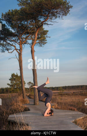 Frau Yoga tut ein Kopfstand in einem Naturschutzgebiet. Stockfoto