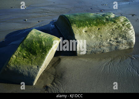 Split länglich runden Felsen auf Ebbe Sand Strand von Cook Inlet, Kenai Halbinsel, Alaska Stockfoto
