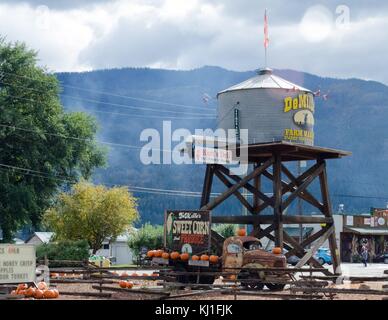 Ein lokaler Markt Kürbisse Anzeigen neben der Autobahn in Salmon Arm, B.C. Stockfoto