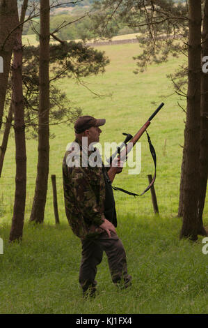 Ein Mann, der Ungeziefer auf Farmen in Weardale kontrolliert, in einem kleinen Waldgebiet steht und zuhört und beobachtet, ein Geschoßgewehr hält und zum Schweigen gebracht wird. Stockfoto