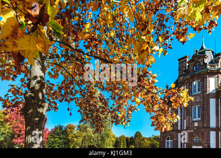 Lebendige Farben der Blätter im Park, Straßburg, Frankreich Stockfoto