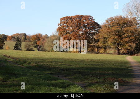 Wandern in der Nähe des Flusses orwell Suffolk Stockfoto