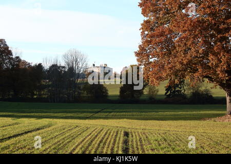 Wandern in der Nähe des Flusses orwell Suffolk Stockfoto