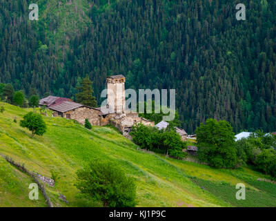 Landscape of Ieli village in Svaneti Stockfoto