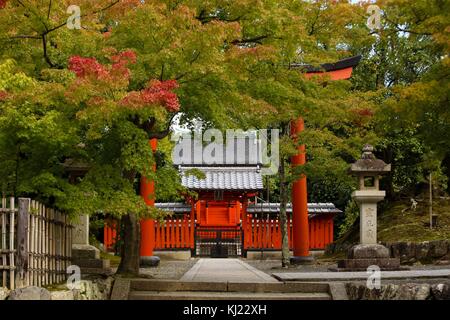 Kyoto, Japan. November 2017. Ein rotes Gebäude und ein Torii-Tor befinden sich hinter Bäumen mit Herbstlaub auf dem Gelände des Tenryu-Ji Tempels in Kyoto, Japan. Quelle: Katie Graves/Stumbleweeds/ZUMA Wire/Alamy Live News Stockfoto