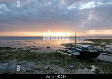 Boote in Bohol, Philippinen Stockfoto